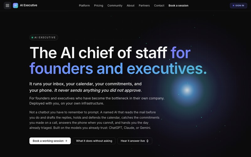 AI Executive homepage